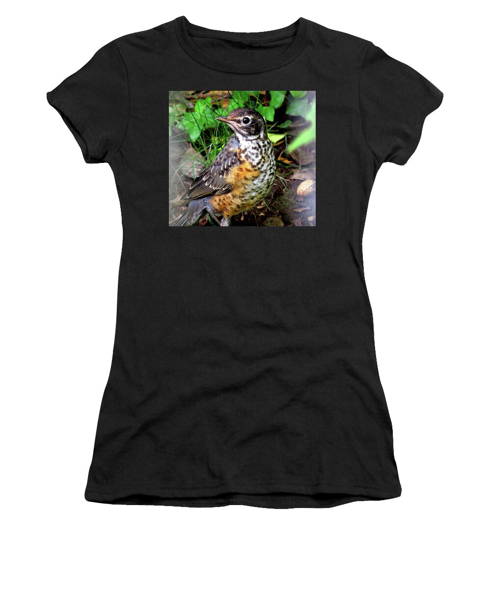 Robin Women's T-Shirt featuring the photograph Rockin' Robin with Peanut by Linda Stern