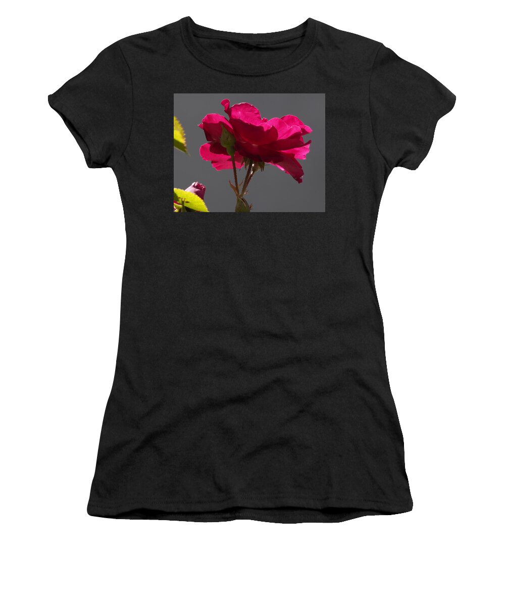 Botanical Women's T-Shirt featuring the photograph Rose Backlight by Richard Thomas