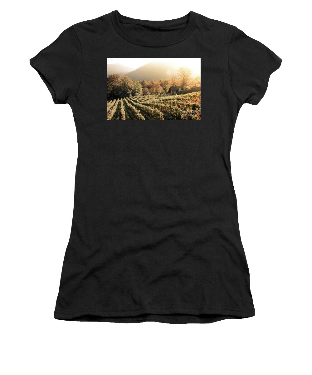 Autumn Women's T-Shirt featuring the photograph Rows of vine in a vineyard in ticino, switzerland at sunset by Amanda Mohler