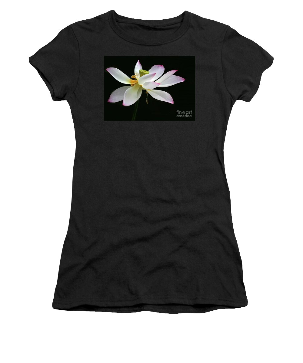 Flower Women's T-Shirt featuring the photograph Royal Lotus by Sabrina L Ryan