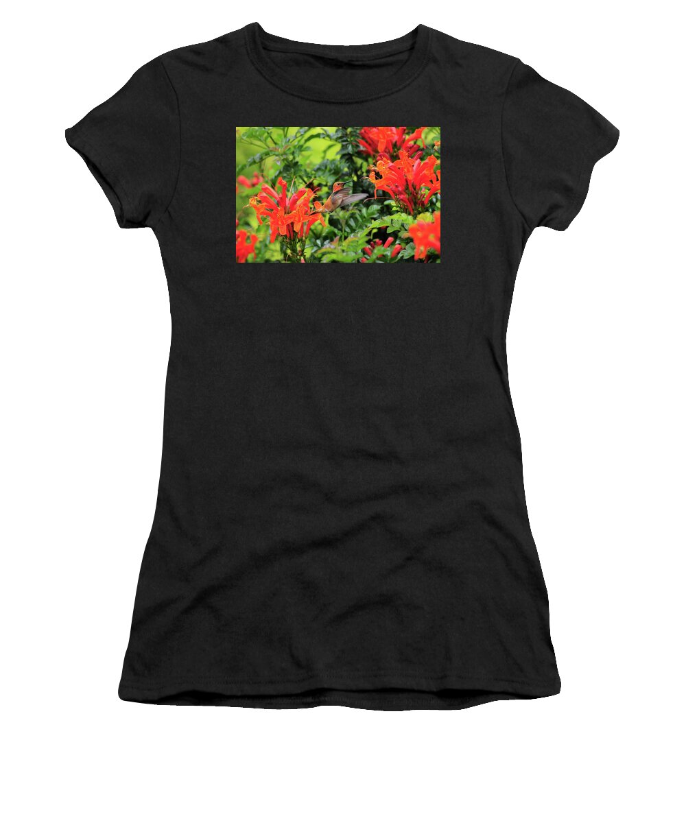 Rufous Hummingbird Women's T-Shirt featuring the photograph Rufous in Orange by Lynn Bauer