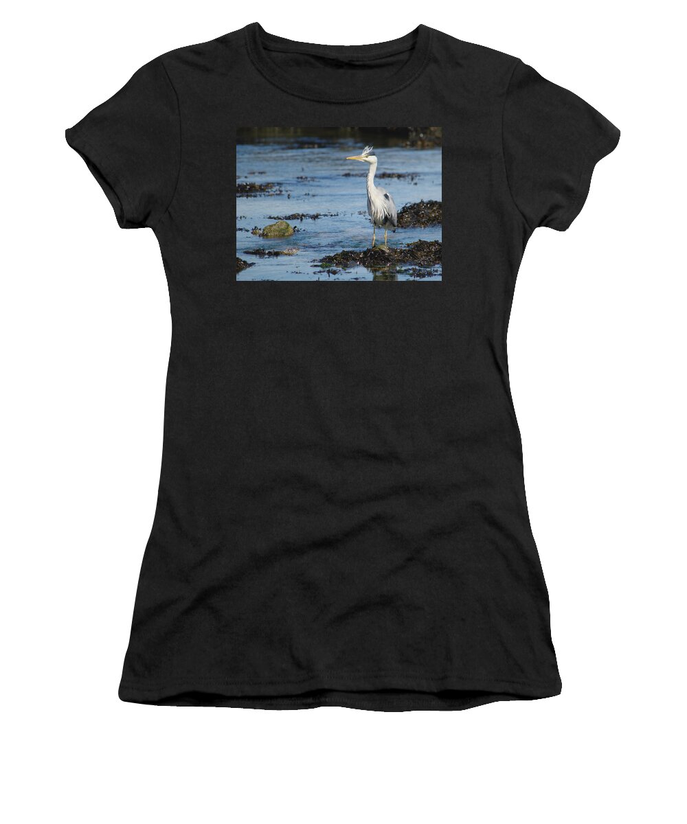 Scruffy Women's T-Shirt featuring the photograph Scruffy Heron by Adrian Wale
