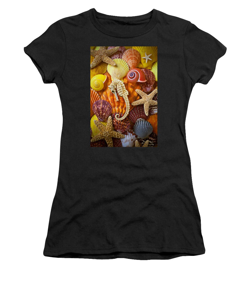  Seahorses Women's T-Shirt featuring the photograph Seahorse and assorted sea shells by Garry Gay