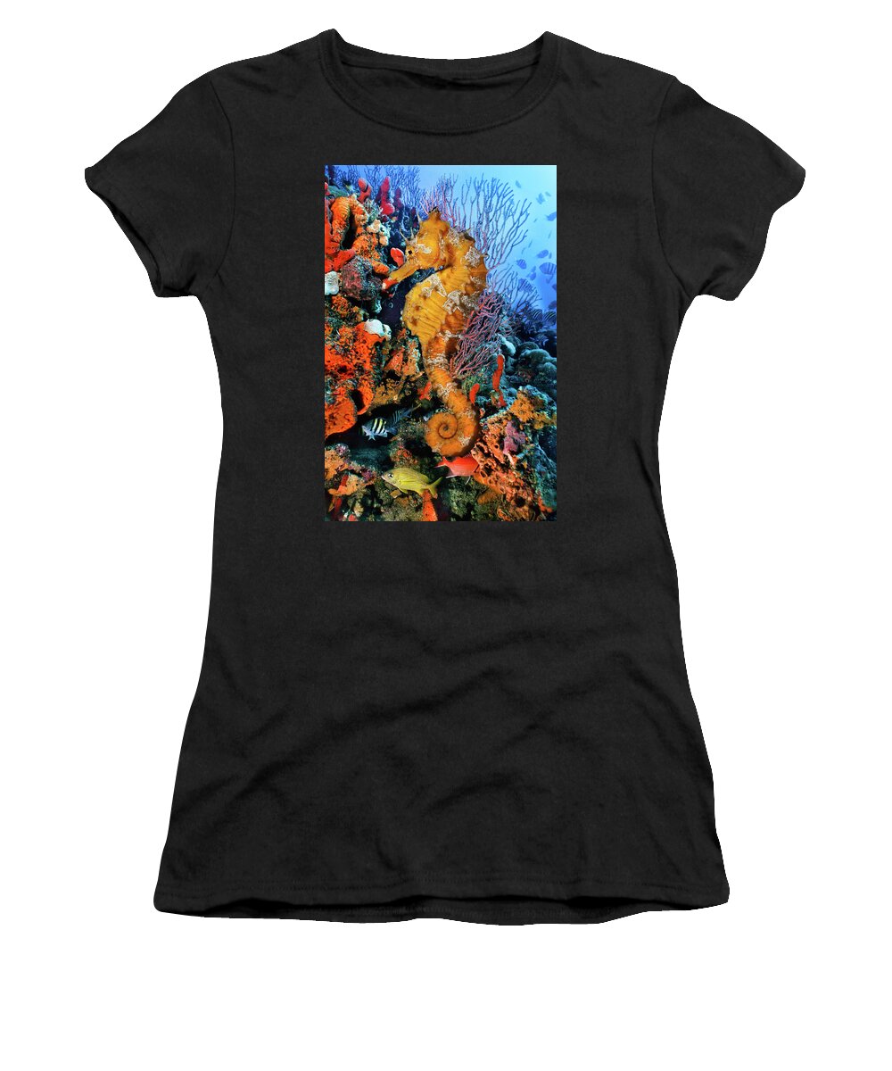 Atlantic Women's T-Shirt featuring the photograph Seahorse at a Magical Reef by Debra and Dave Vanderlaan