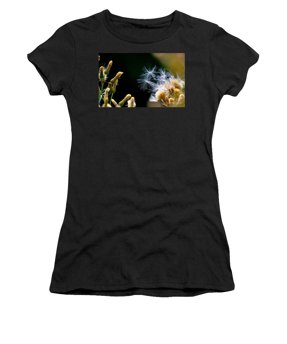 Weeds Women's T-Shirt featuring the photograph Seeds in the wind by Robert Pearson