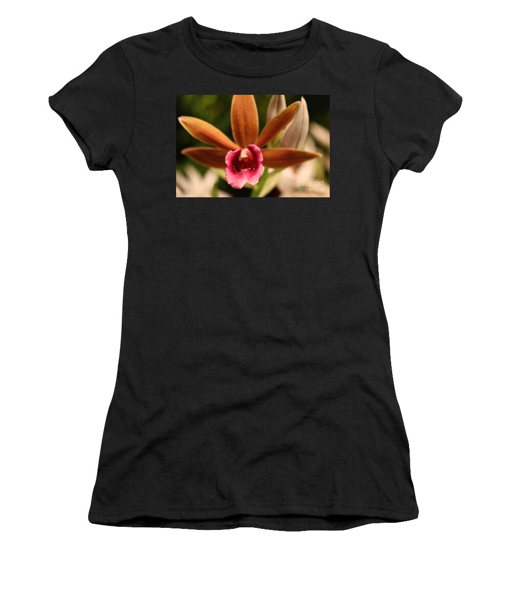 Flower Women's T-Shirt featuring the photograph Seeking Pollinators by Susan Herber