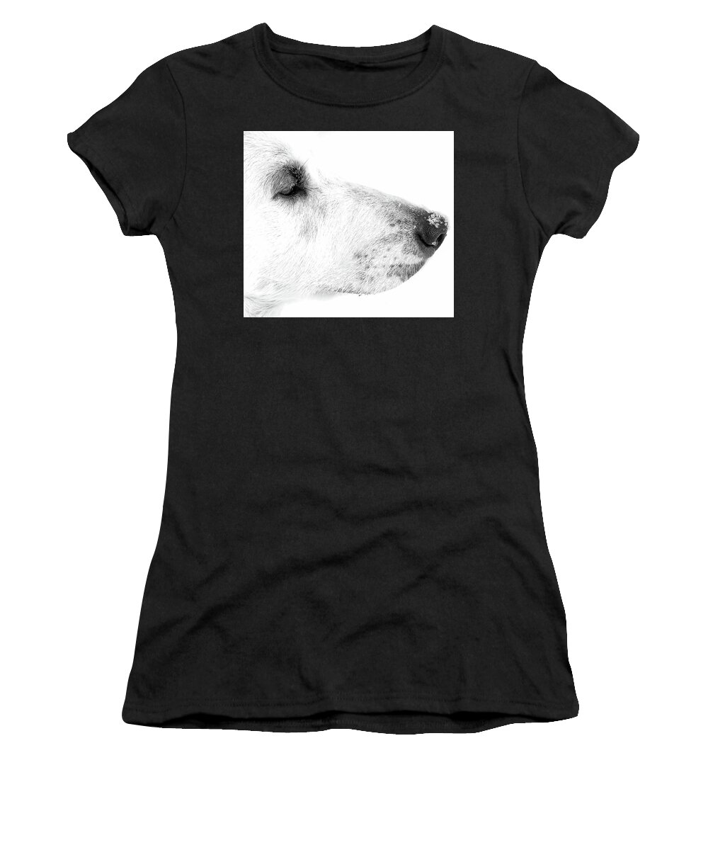 Arvada Women's T-Shirt featuring the photograph Serious by MKD Lincoln