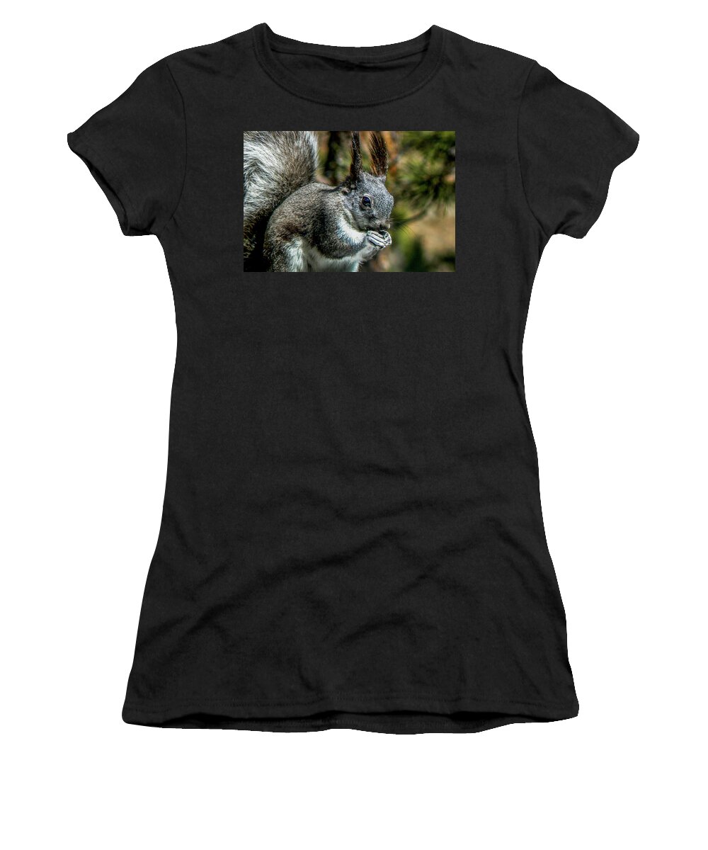 Abert's Women's T-Shirt featuring the photograph Silver Abert's Squirrel Close-up by Marilyn Burton