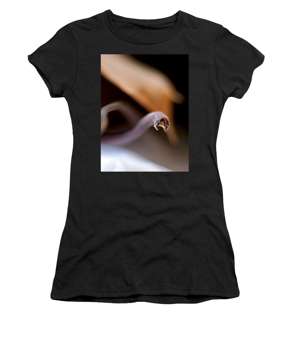 Abstract Women's T-Shirt featuring the photograph Sing by Lauren Radke