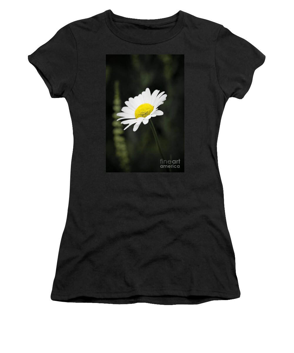 Flower Women's T-Shirt featuring the photograph Single wild daisy by Simon Bratt