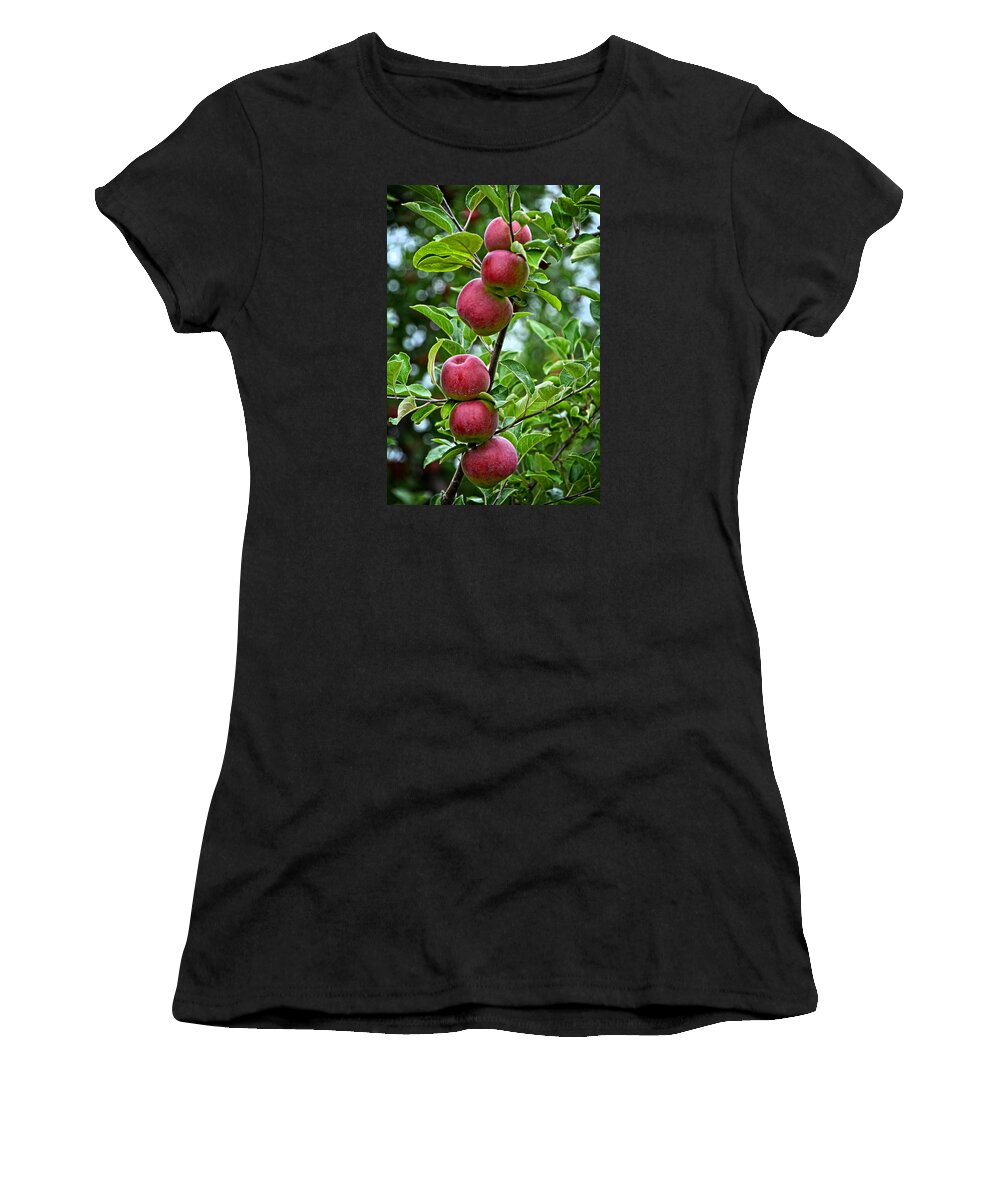6 Women's T-Shirt featuring the photograph Six Apples by Mike Martin