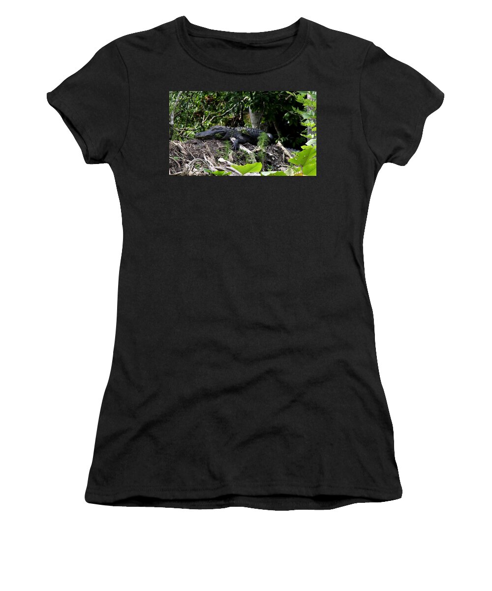 American Alligator Women's T-Shirt featuring the photograph Sleeping Alligator by Barbara Bowen