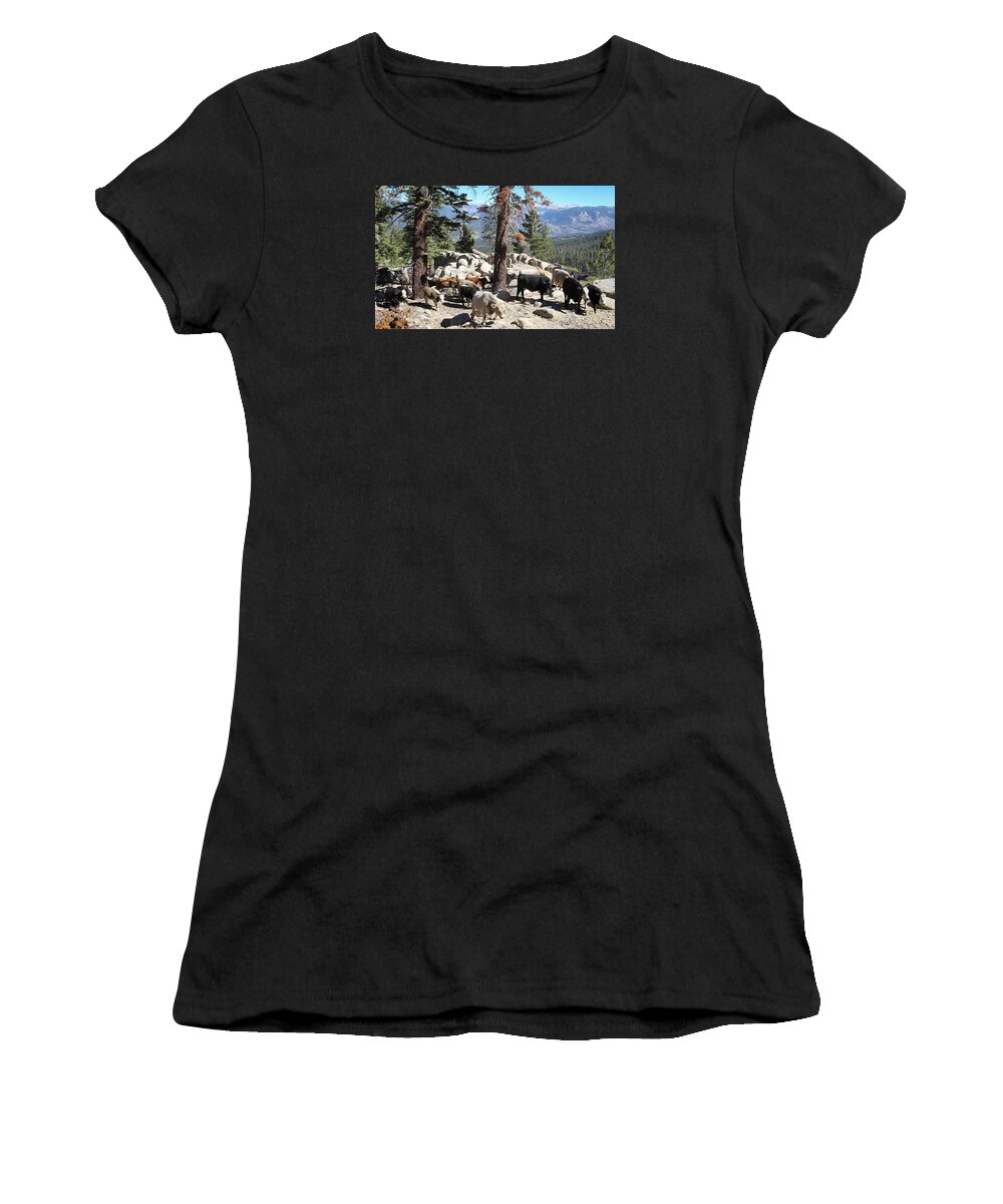 Cattle Women's T-Shirt featuring the photograph Slow is Fast by Diane Bohna