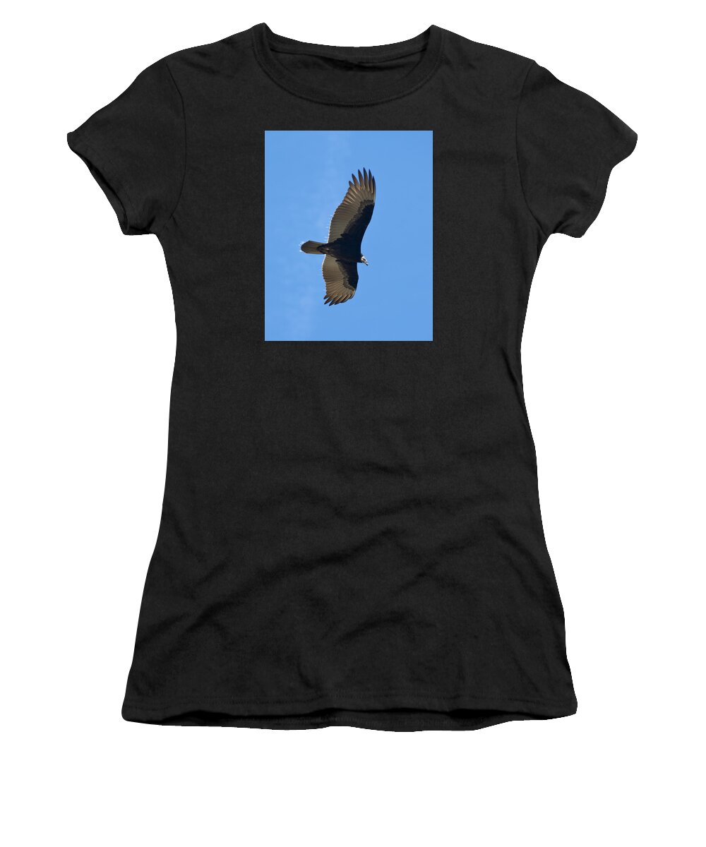 Vulture Women's T-Shirt featuring the photograph Soaring Turkey Vulture by John Harmon