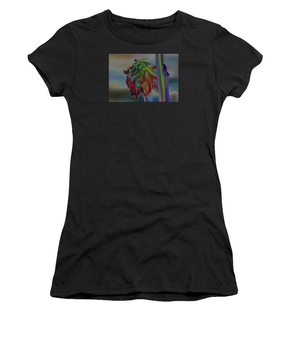 Pitcher Plant Women's T-Shirt featuring the photograph Something Special by DB Hayes