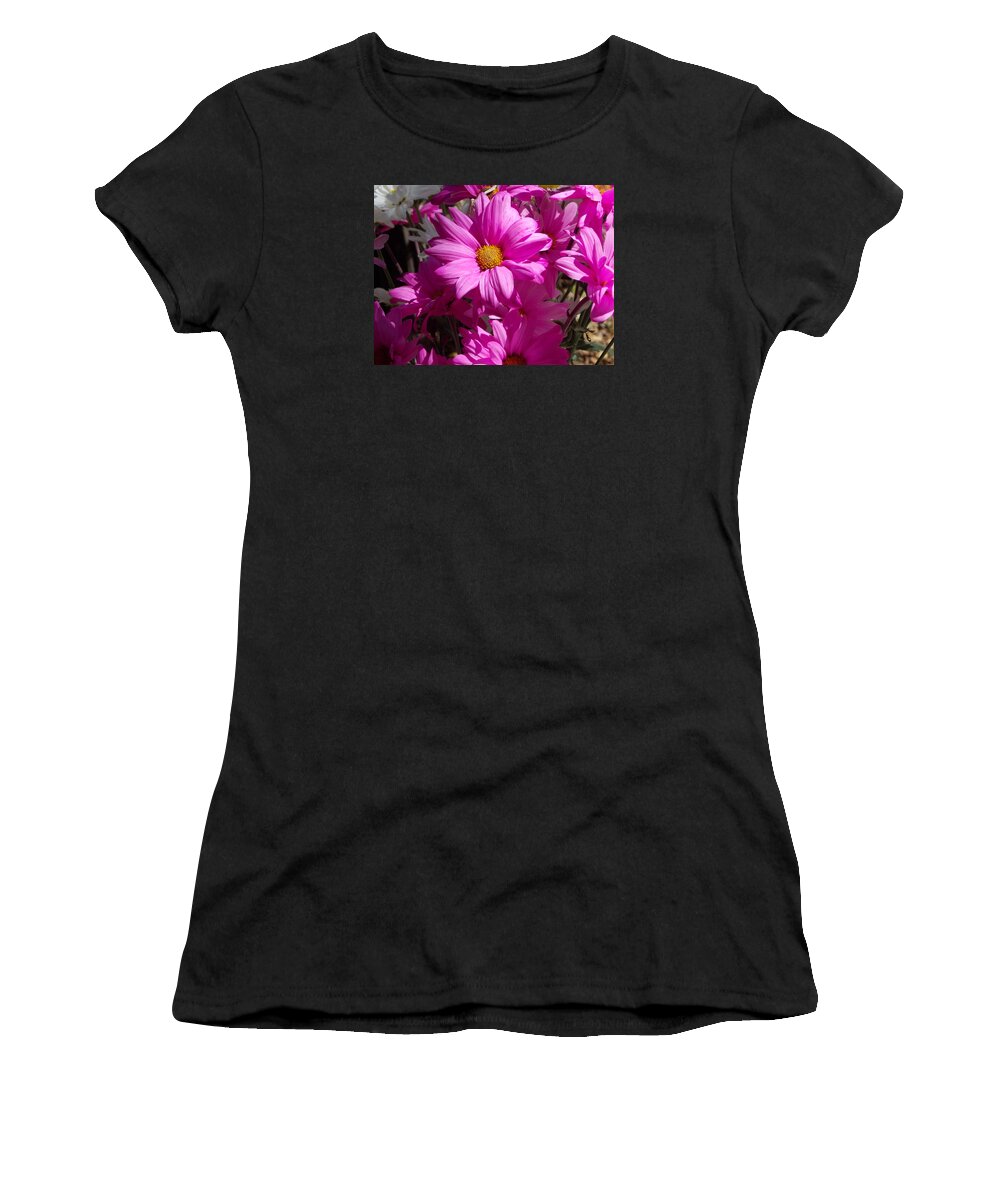 Daisy.flower Women's T-Shirt featuring the photograph Spring by Bob Johnson