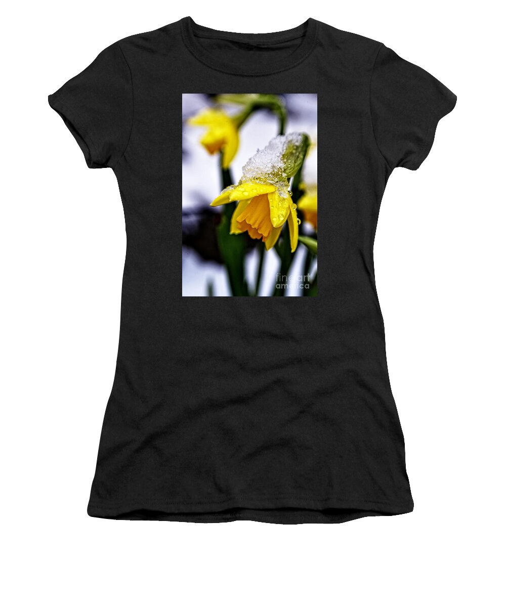 Narcissus Women's T-Shirt featuring the photograph Spring Daffodil flowers in snow by Martyn Arnold