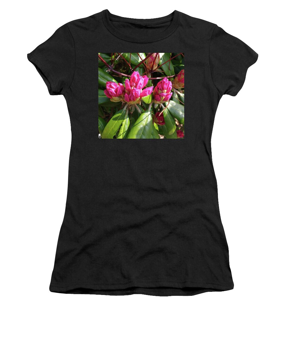 Sightstosee Women's T-Shirt featuring the photograph Spring Is In Bloom! by Lauren Julia Mckinney