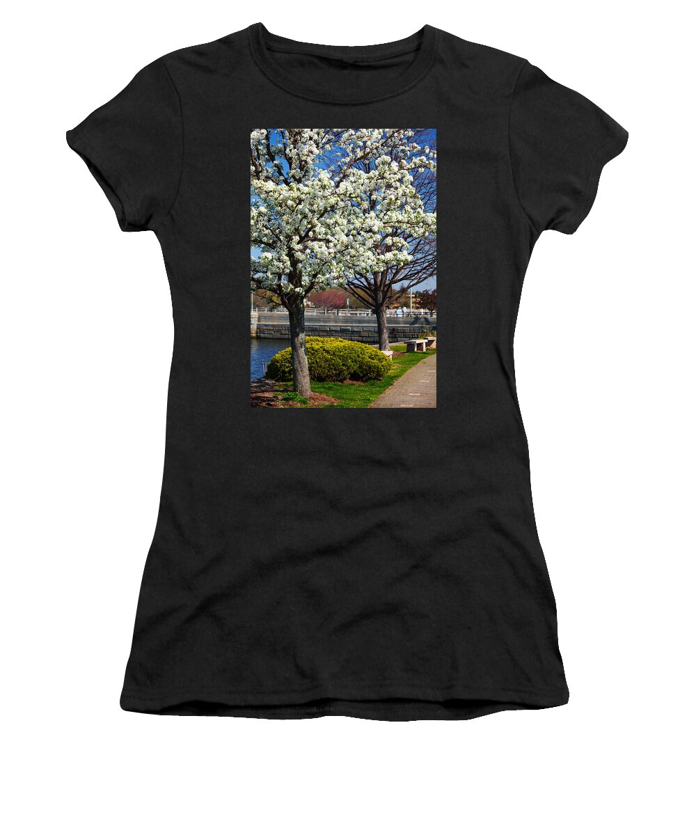 Springtime In Westport Women's T-Shirt featuring the photograph Spring Time In Westport by Karol Livote