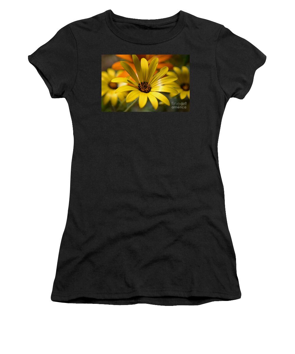Yellow Daisies Women's T-Shirt featuring the photograph Springtime in the Desert by Deb Halloran