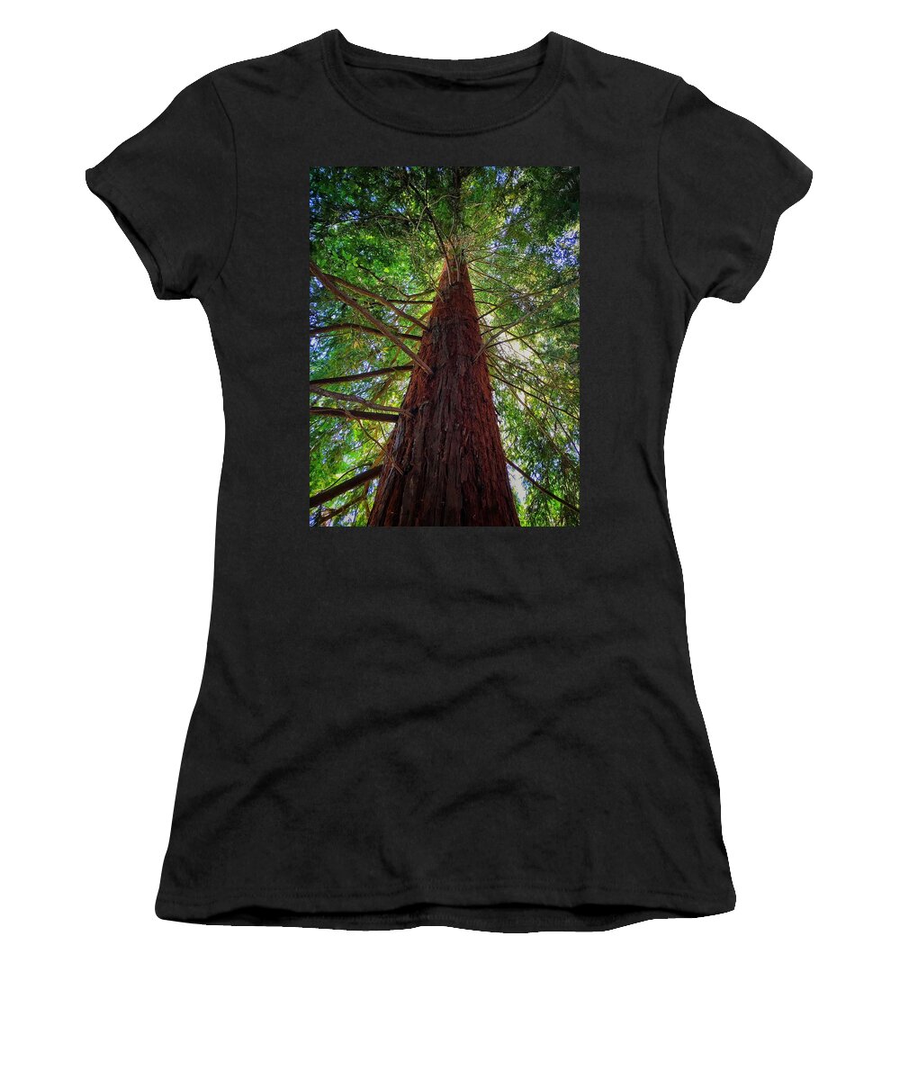 Tree Women's T-Shirt featuring the photograph Stand Tall by Robin Mayoff
