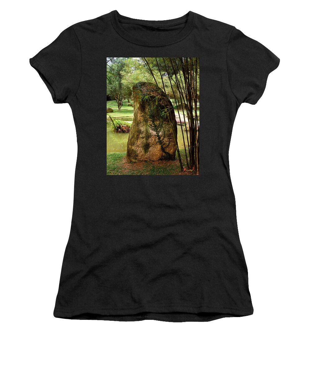 Standing Stone Women's T-Shirt featuring the photograph Standing Stone with Fern and Bamboo 19A by Gerry Gantt