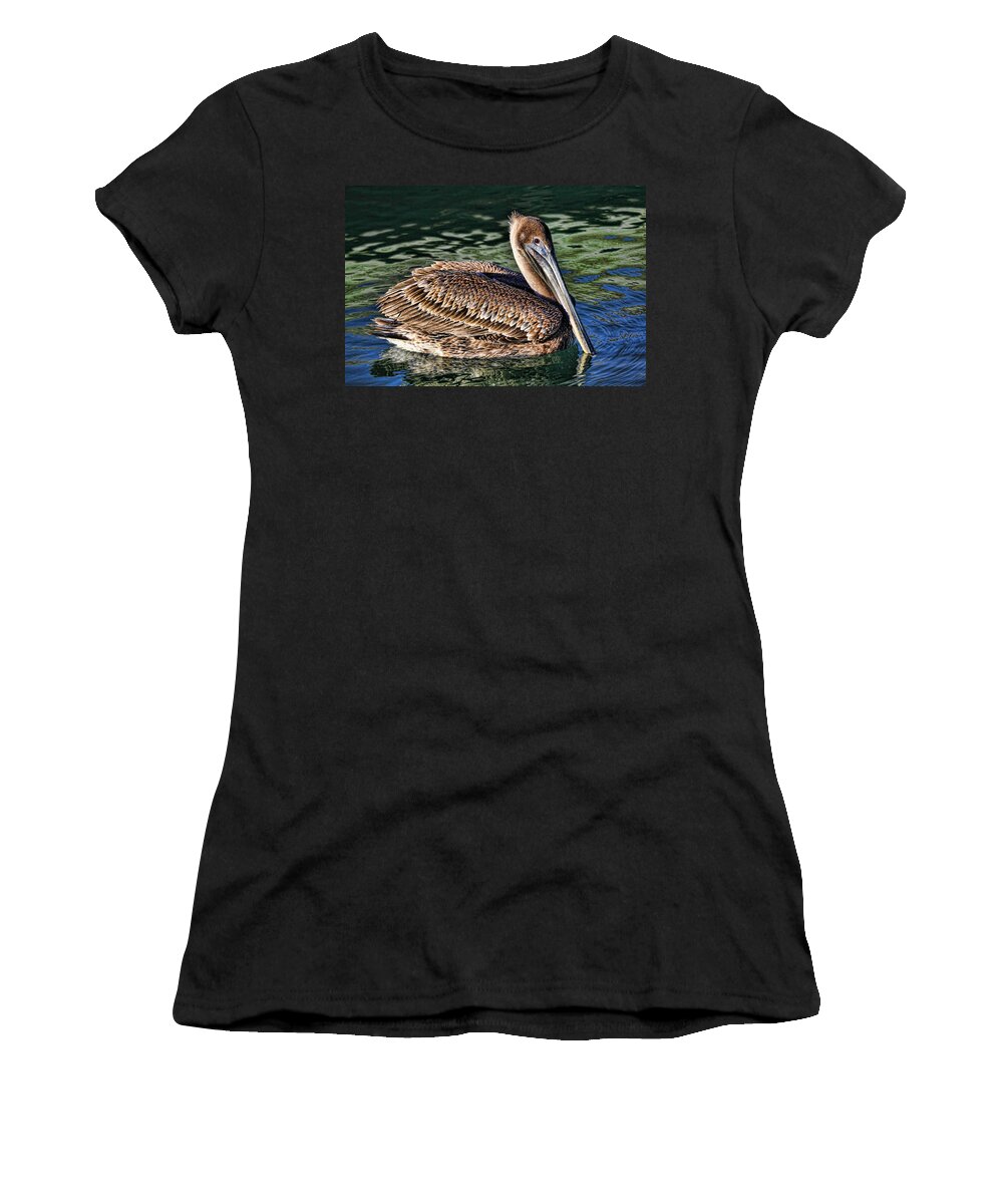 Brown Pelican Women's T-Shirt featuring the photograph Staying Afloat - Brown Pelican Swimming by HH Photography of Florida