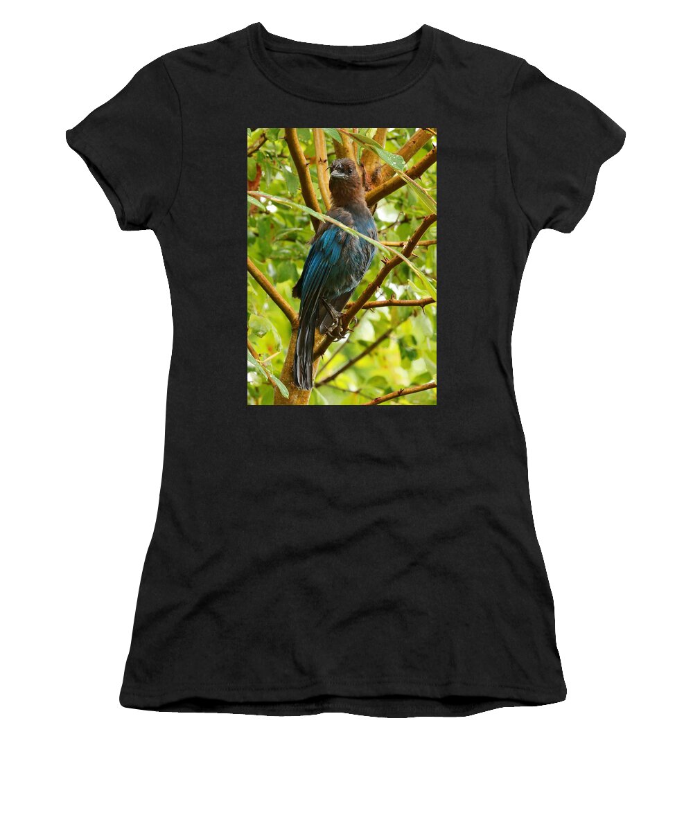 Birds Women's T-Shirt featuring the photograph Stellar Model by Steve Warnstaff