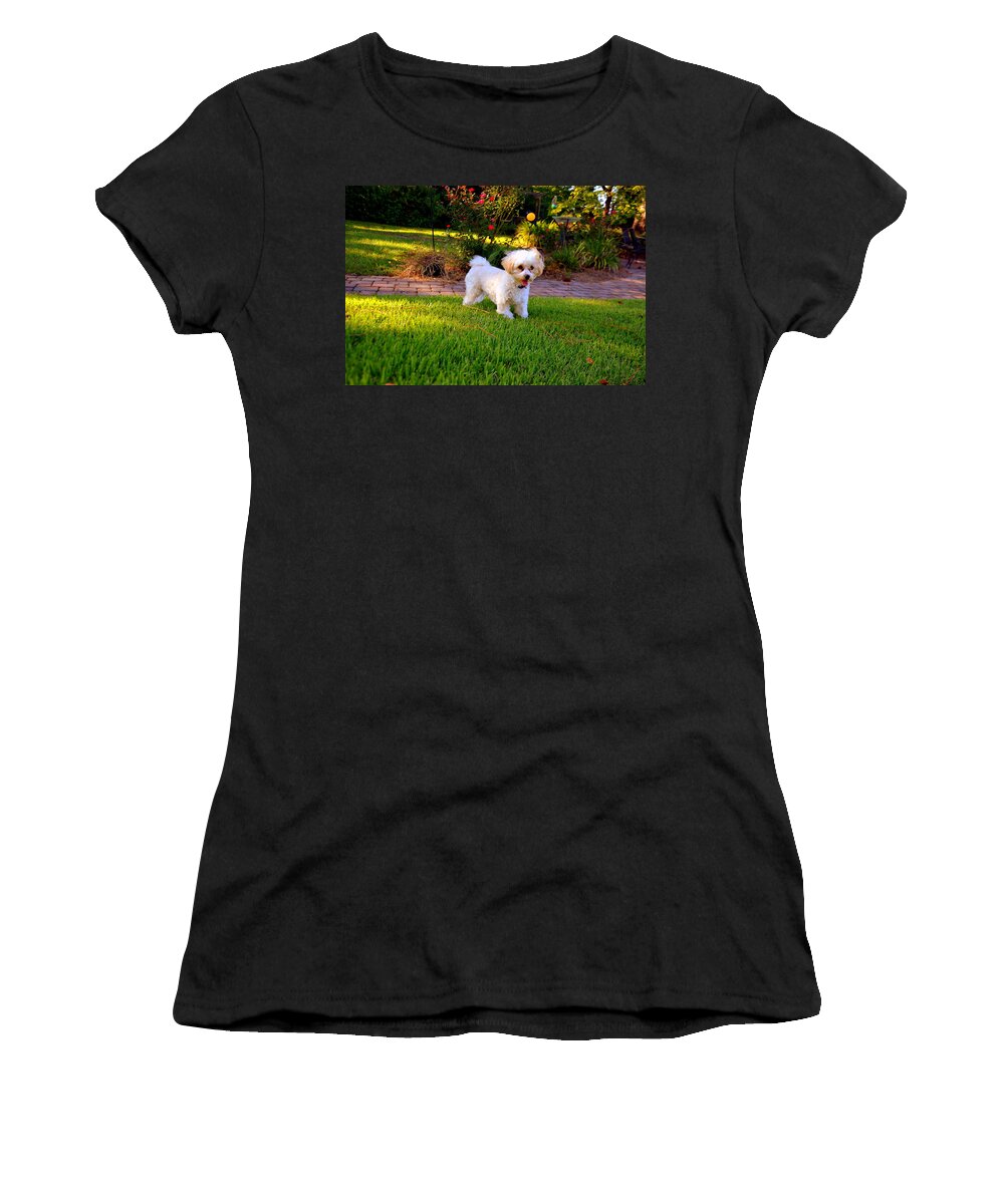 Strike A Pose Women's T-Shirt featuring the photograph Strike A Pose by Lisa Wooten