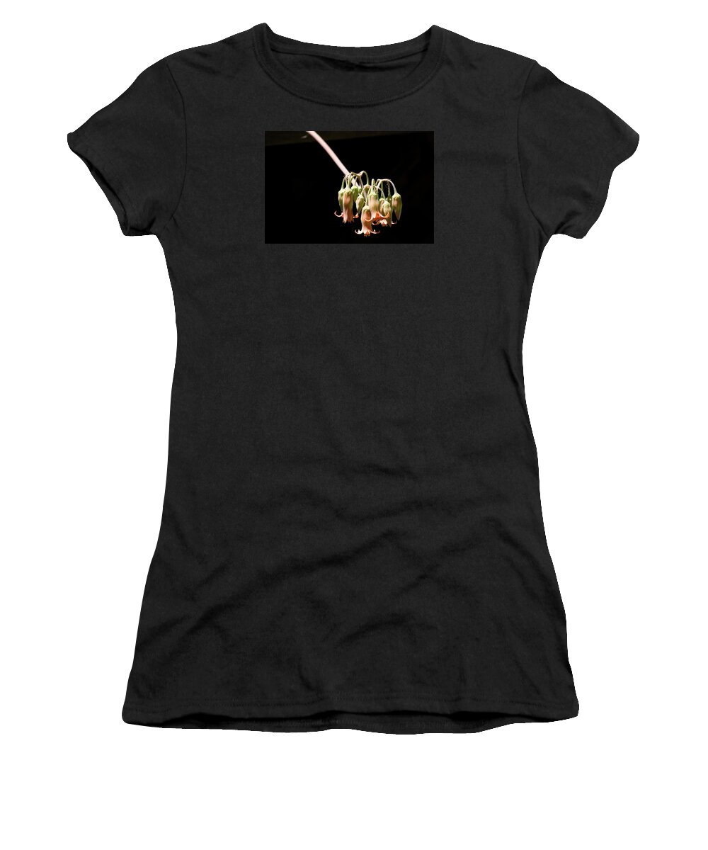 Flower Women's T-Shirt featuring the photograph Succulent Flower by Grant Groberg