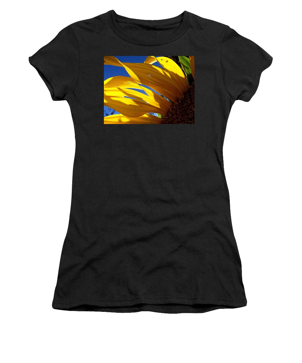 Flowers Women's T-Shirt featuring the photograph Sunflower Shadows by Harold Zimmer