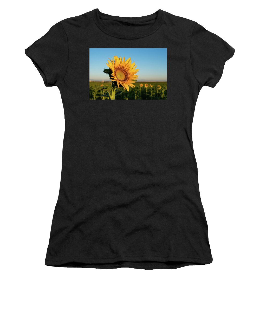 Sunflowers Women's T-Shirt featuring the photograph Sunflowers At Sunrise 2 by Stephen Holst