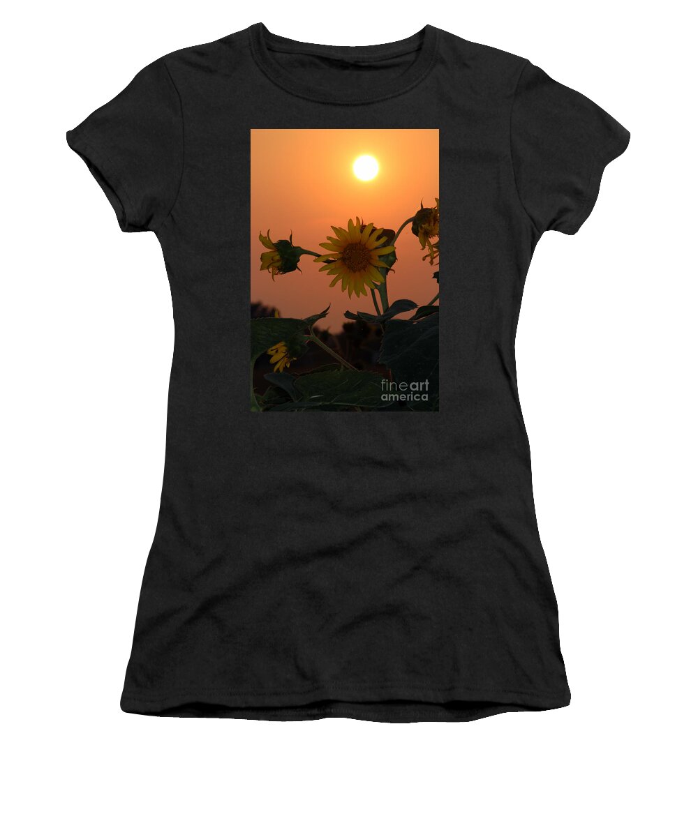 Sunflower Shots Women's T-Shirt featuring the photograph Sunflowers At Sunset by Kathy White