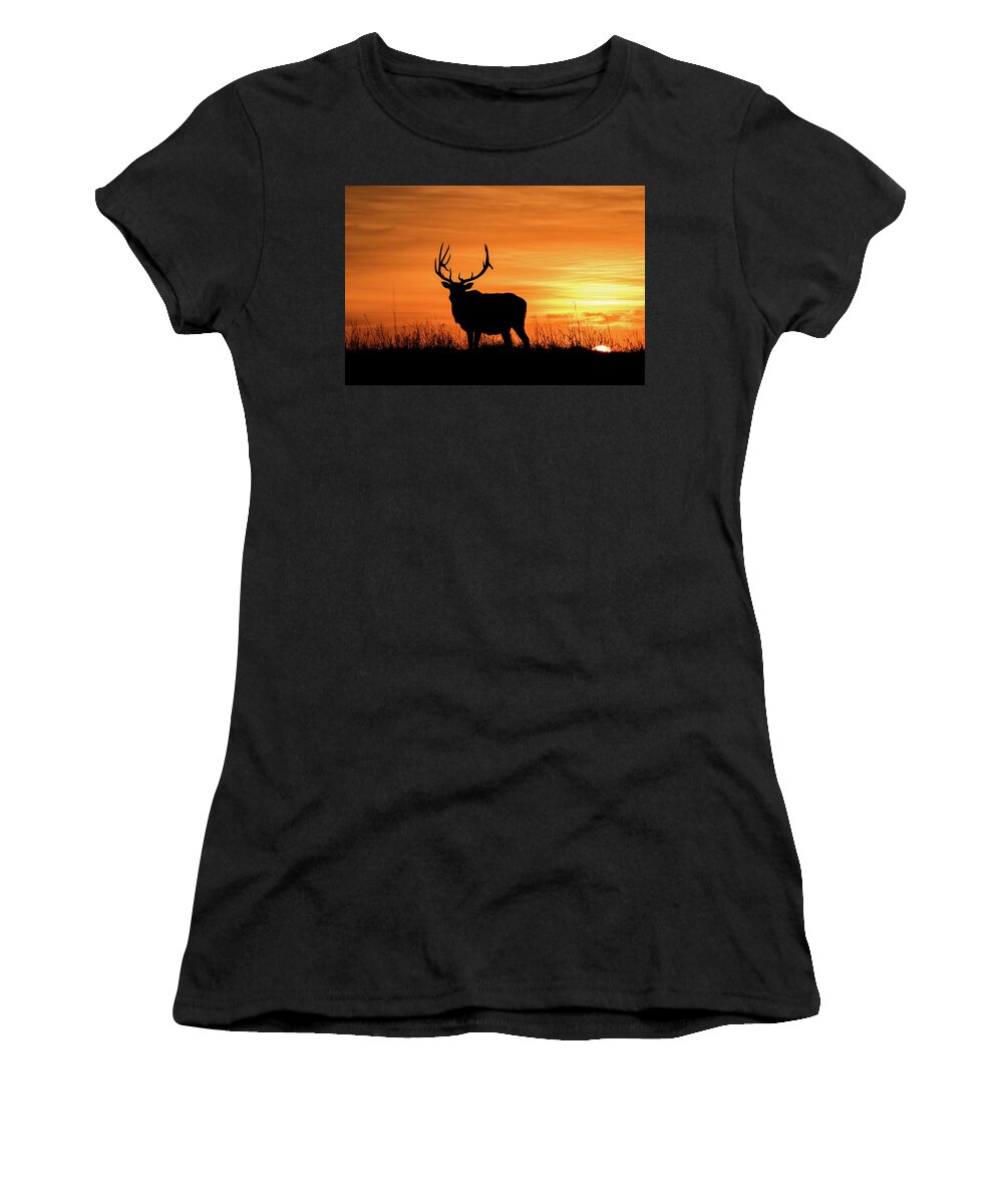 Jay Stockhaus Women's T-Shirt featuring the photograph Sunrise Elk by Jay Stockhaus