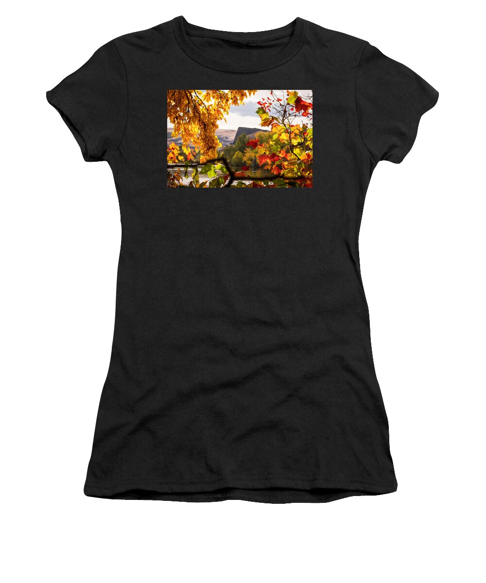 Autumn Women's T-Shirt featuring the photograph Swallows Nest in the Fall by Brad Stinson