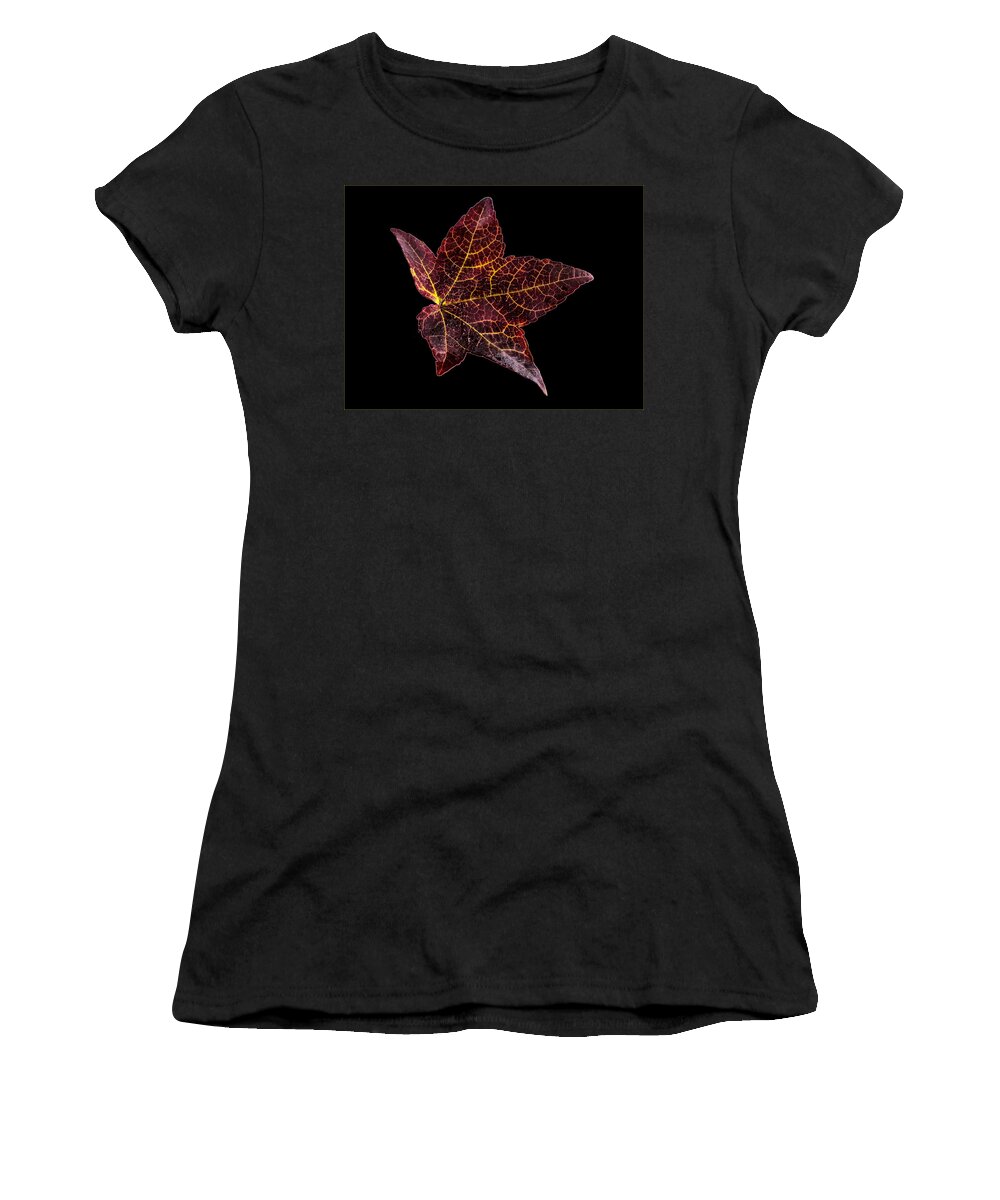 Jean Noren Women's T-Shirt featuring the photograph Sweet Gum Leaf on Black by Jean Noren by Jean Noren