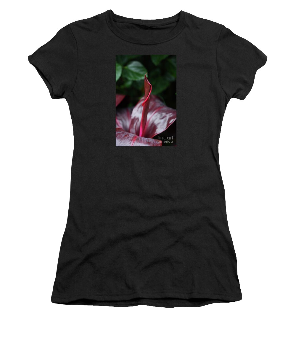 Nature Women's T-Shirt featuring the photograph Swirls by Cindy Manero