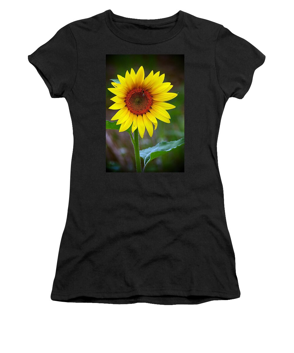 Yellow Flower Women's T-Shirt featuring the photograph Tall Sunflower Gleaming by Karen McKenzie McAdoo