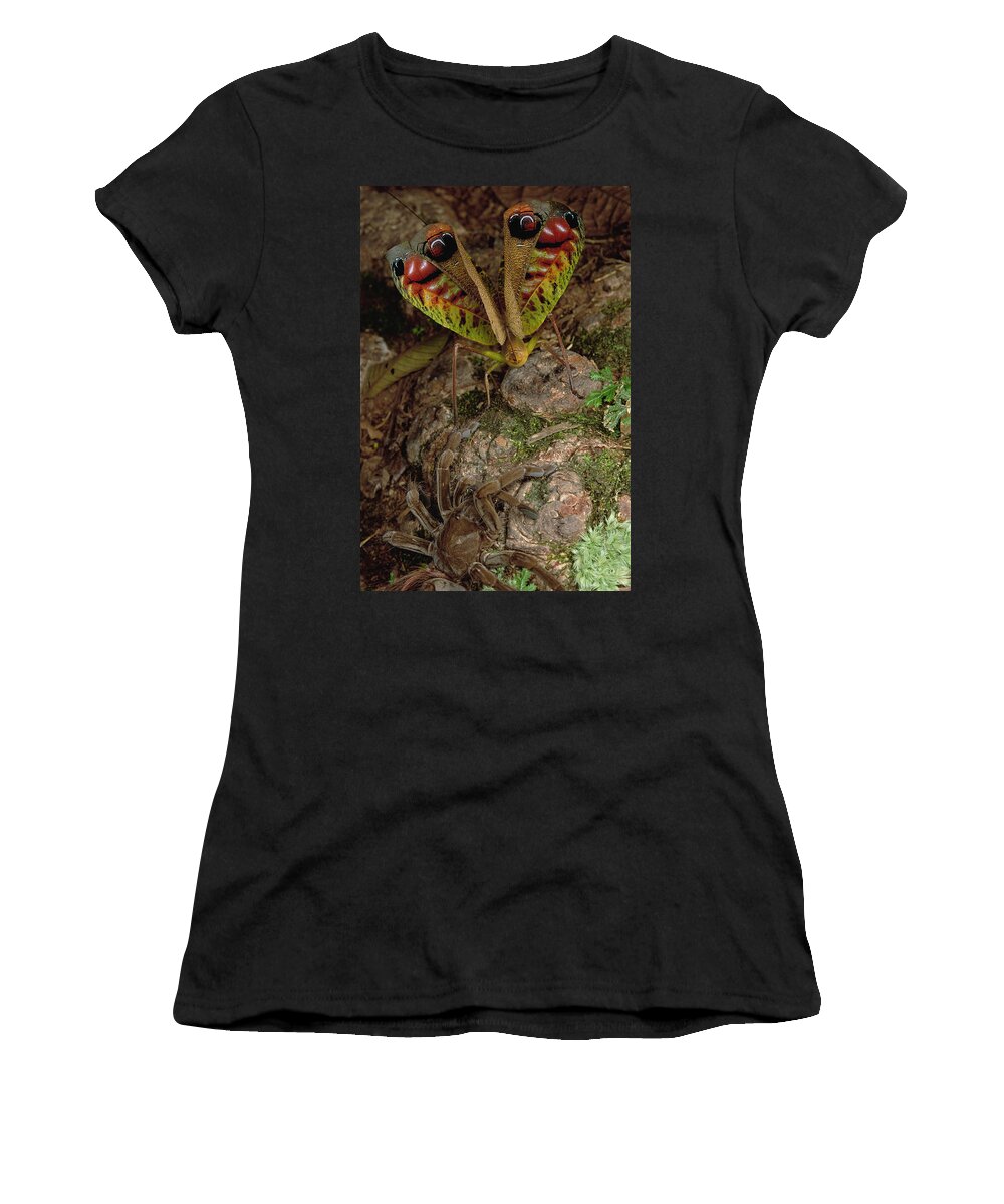 00115907 Women's T-Shirt featuring the photograph Tarantula Startles a Giant Katydid by Mark W Moffett
