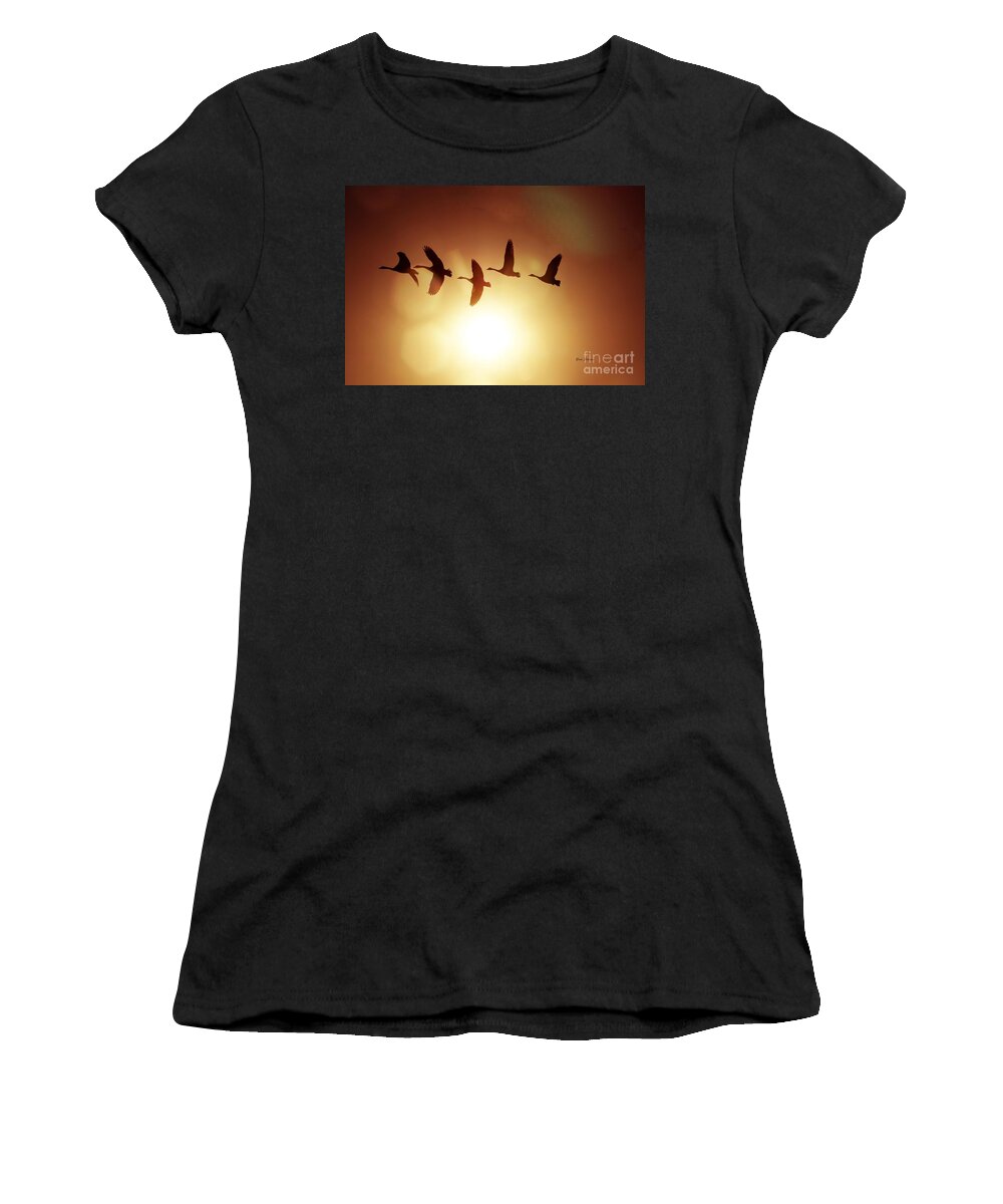 Sunset Women's T-Shirt featuring the photograph The before the Sundwon by Yumi Johnson