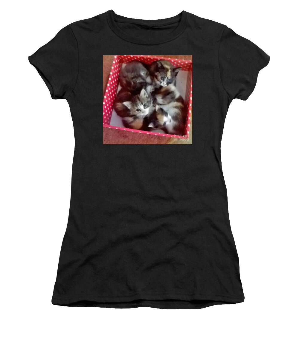  Women's T-Shirt featuring the photograph The Purrfect Present by Miss McLean