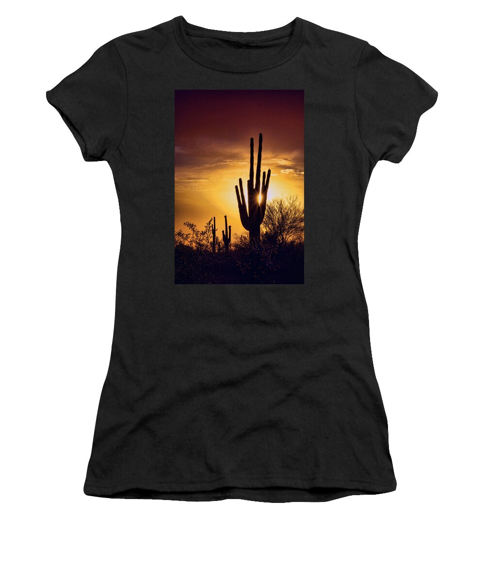 Saguaro Sunset Women's T-Shirt featuring the photograph Through the Arms of the Saguaro by Saija Lehtonen