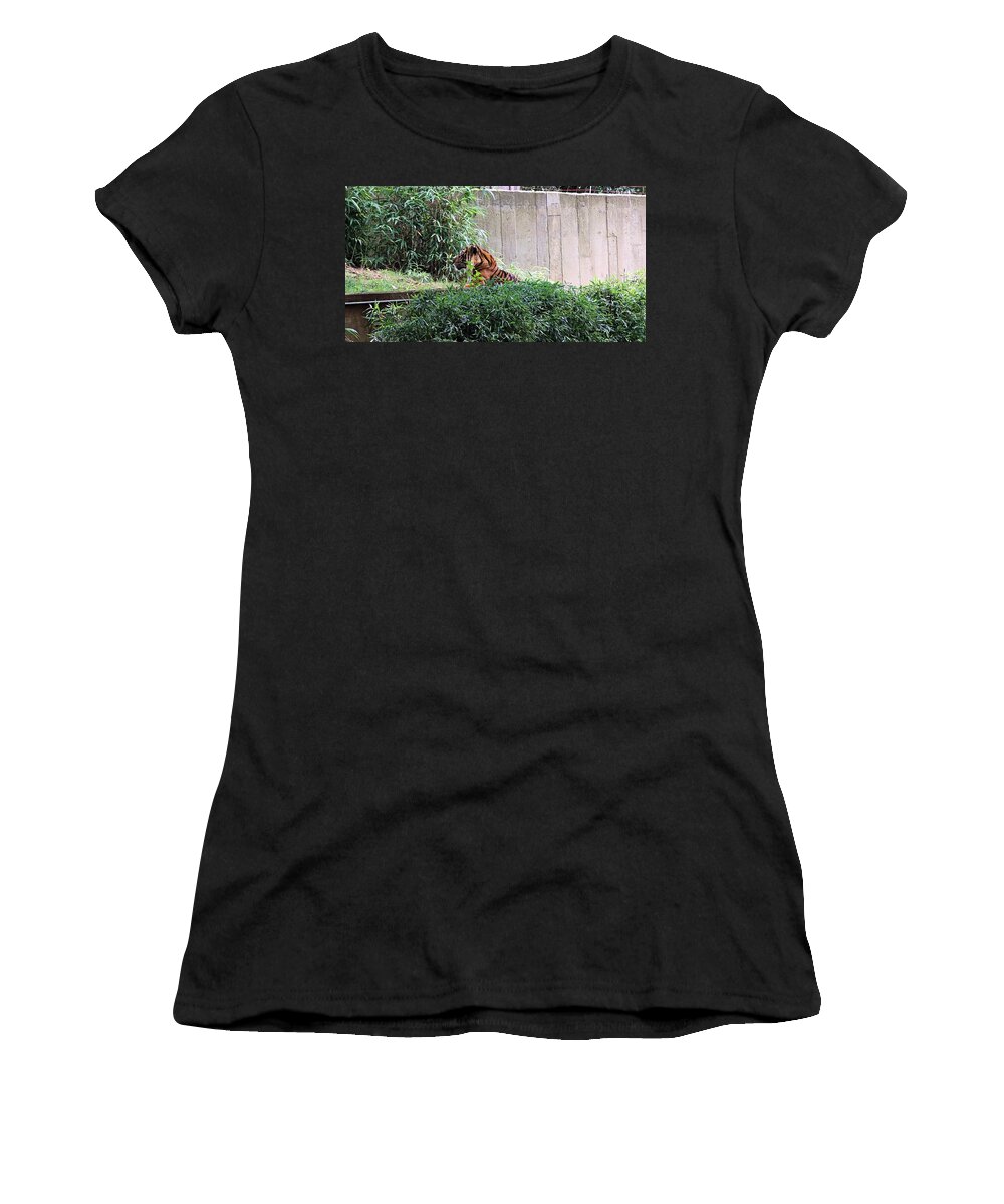 Tigers Women's T-Shirt featuring the photograph Tiger 3 by Karl Rose