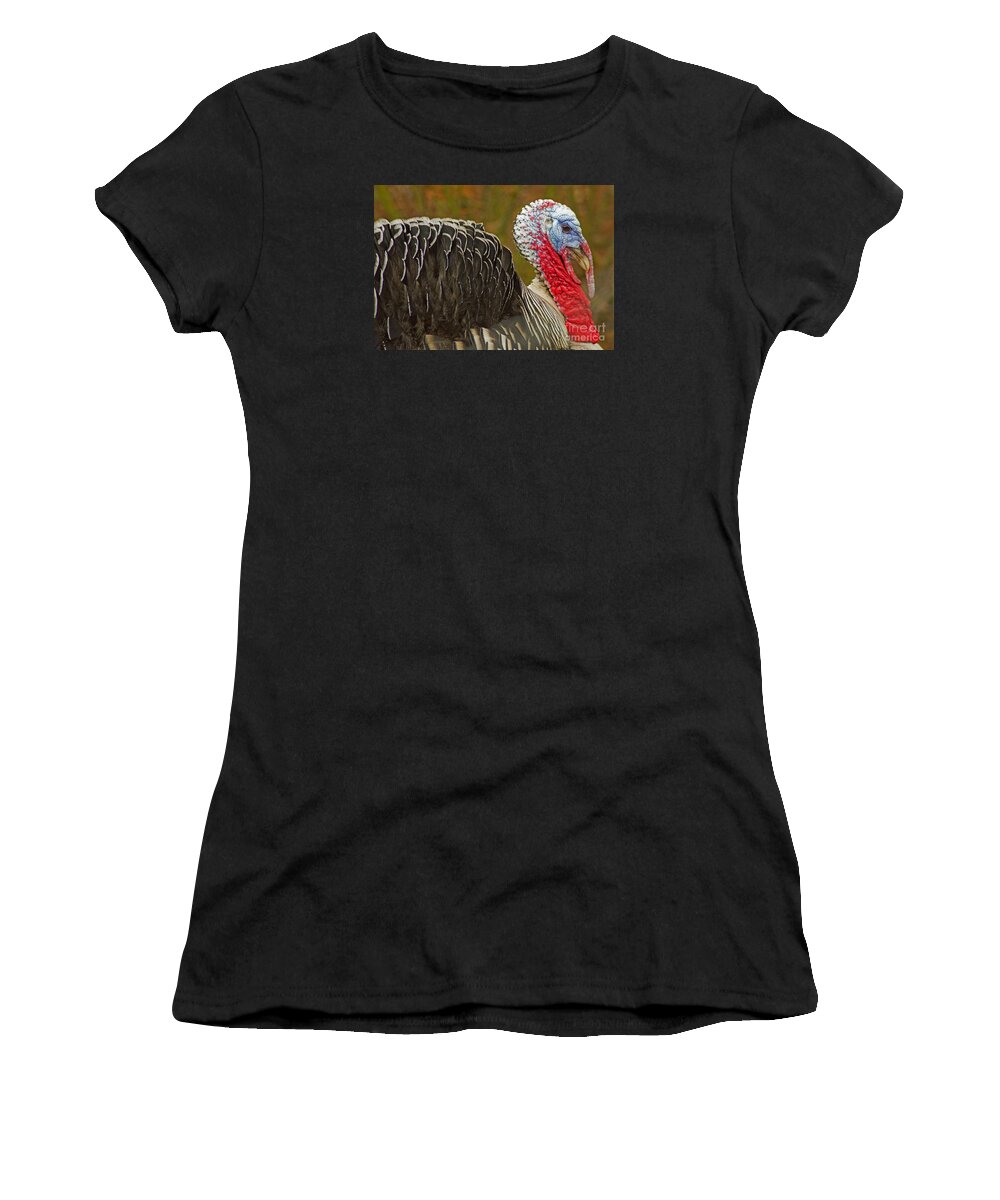  Women's T-Shirt featuring the photograph Tom Turkey by Nick Boren
