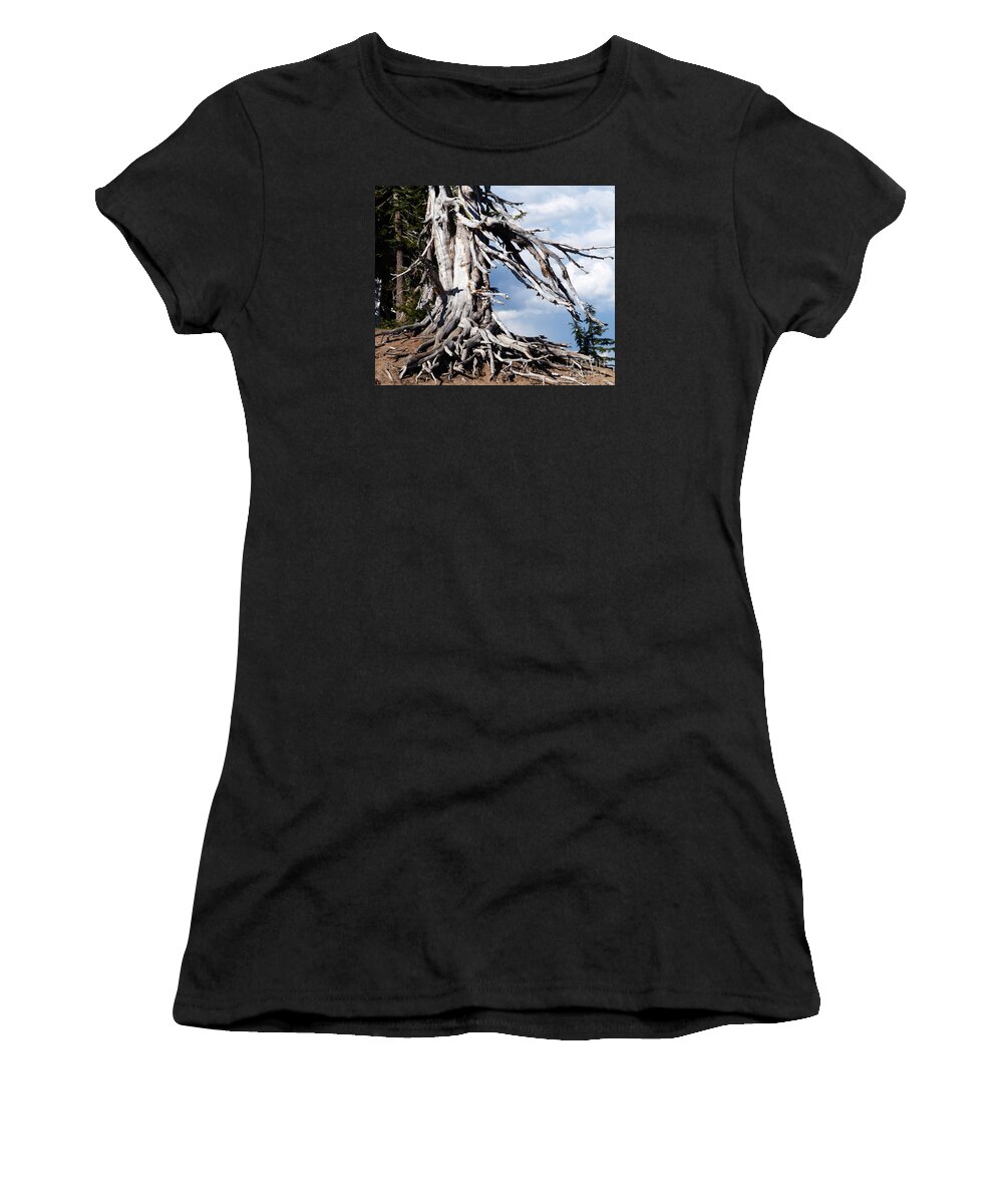 Tree Women's T-Shirt featuring the painting Tree Trunk Sculpture by Paula Joy Welter