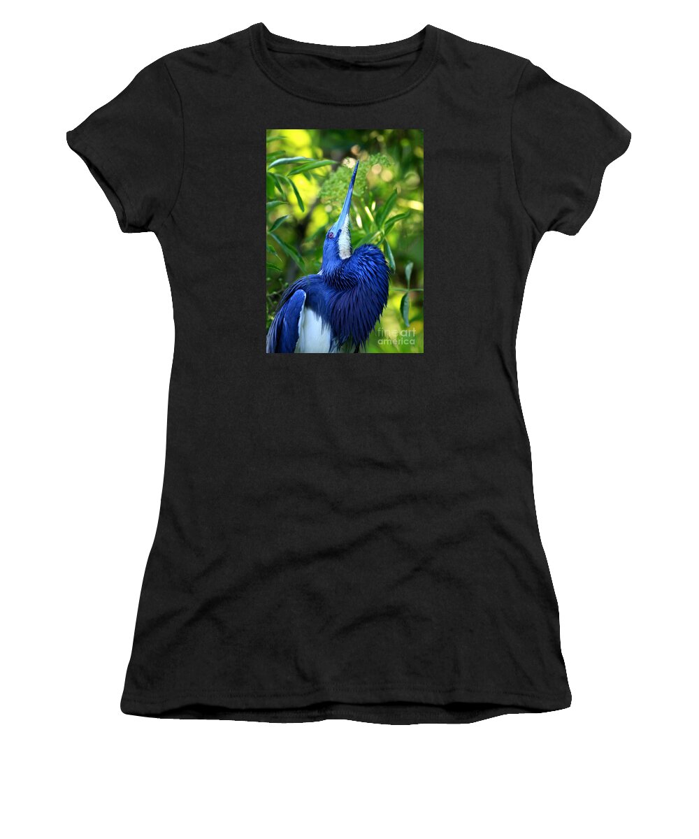 Tri-colored Heron Women's T-Shirt featuring the photograph Tri-colored Heron Head Throw by John F Tsumas