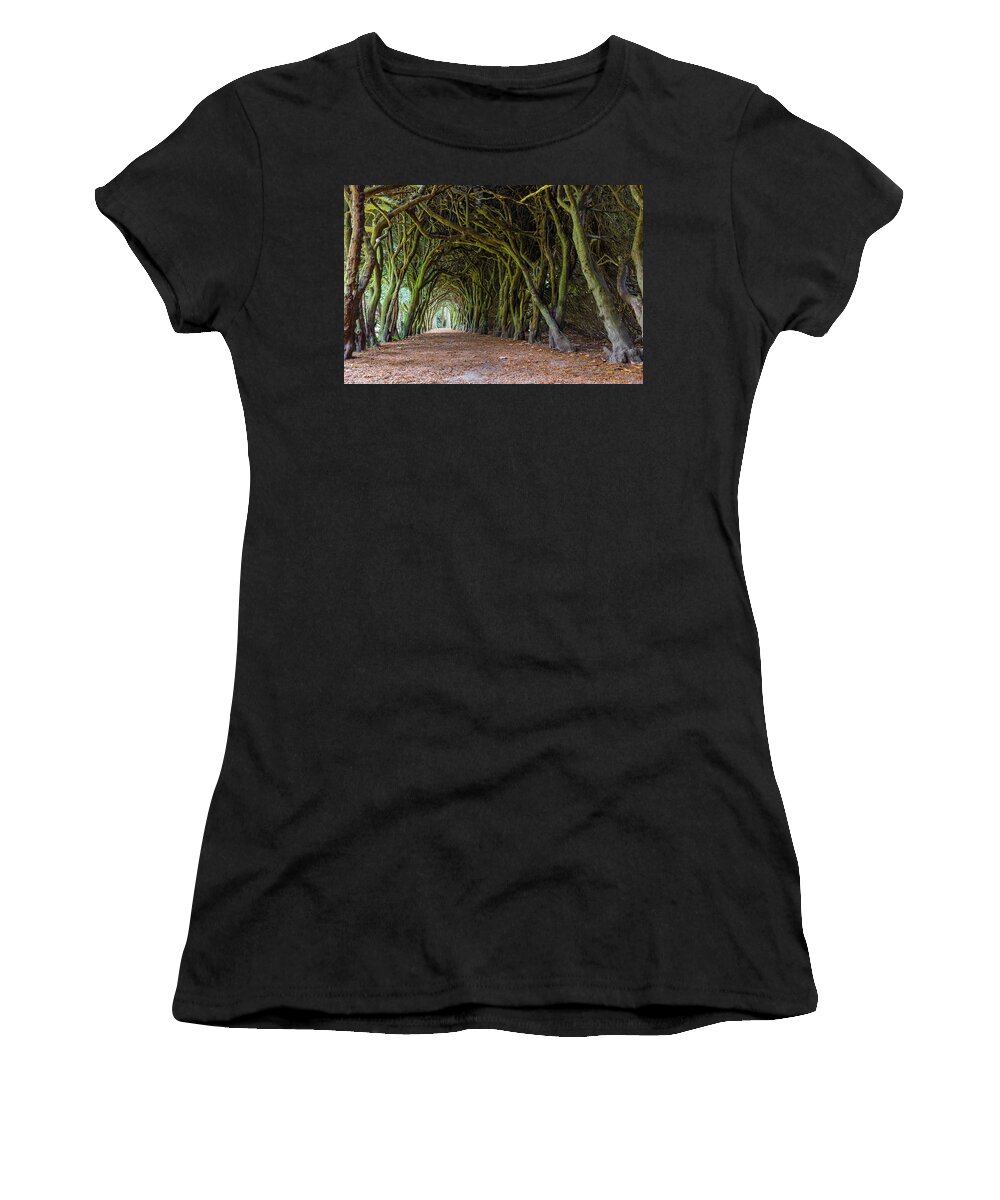 Campus Women's T-Shirt featuring the photograph Tunnel of intertwined Yew trees by Semmick Photo