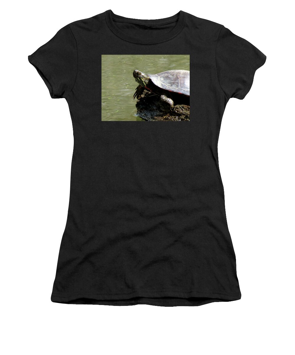 Nature Women's T-Shirt featuring the photograph Turtle Bask by Azthet Photography