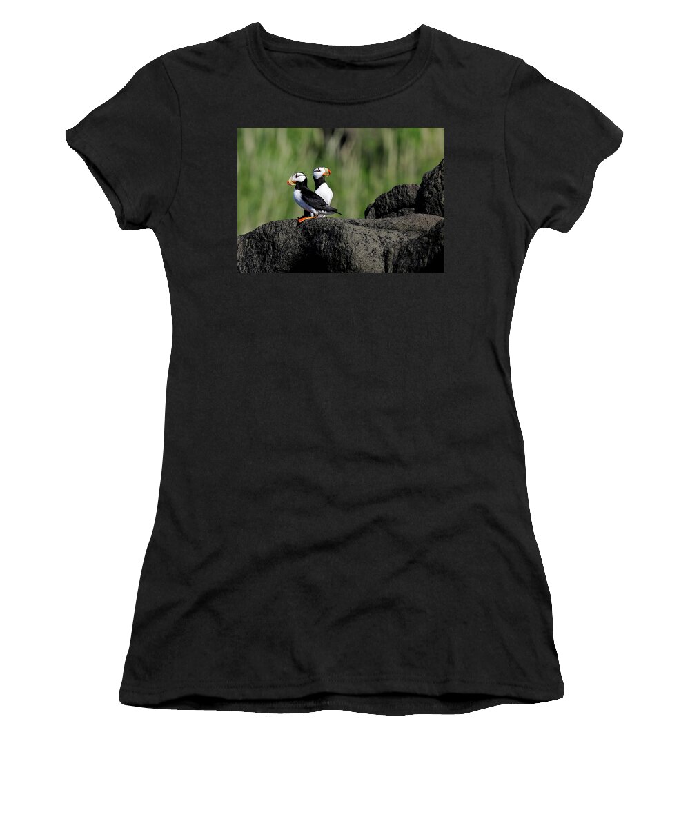 Puffins Women's T-Shirt featuring the photograph Two Horned Puffins by Mark Harrington