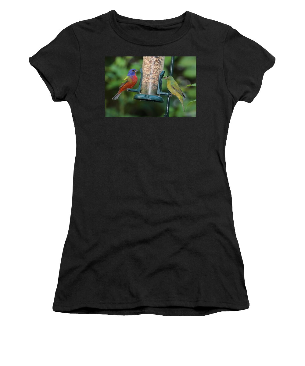 Birds Women's T-Shirt featuring the photograph Two Painted Buntings by Dart Humeston